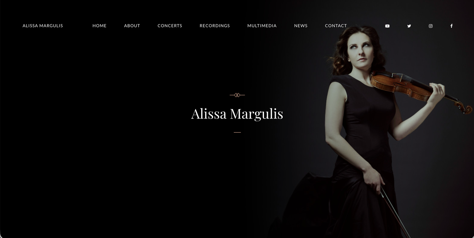 Website example screenshot 15